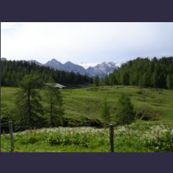 2007-05_04Gotzenalm (022).JPG